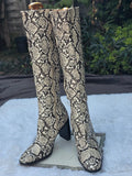 Gorgeous designed PLT boots size 8